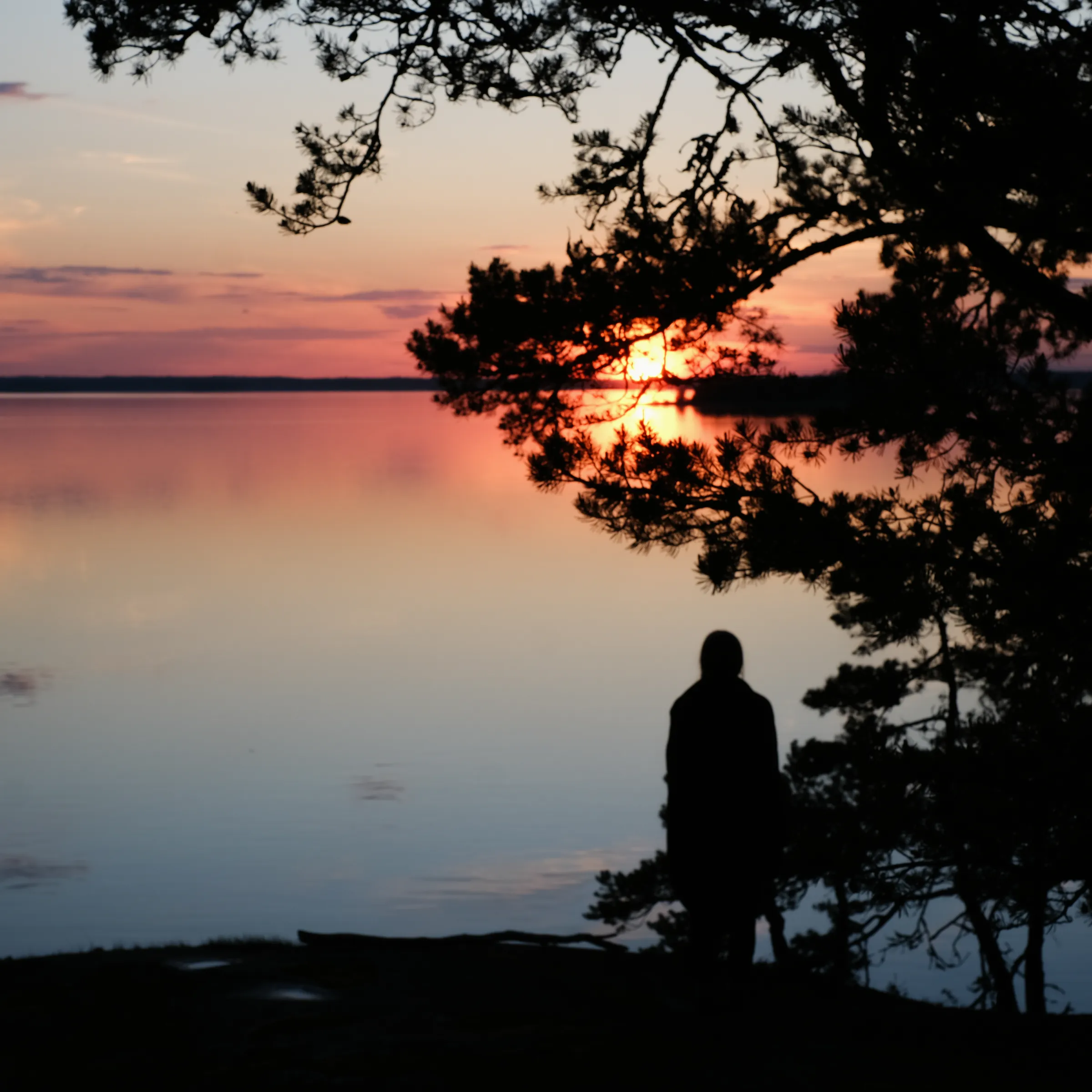 A person watching the sunset across Drevviken lake.