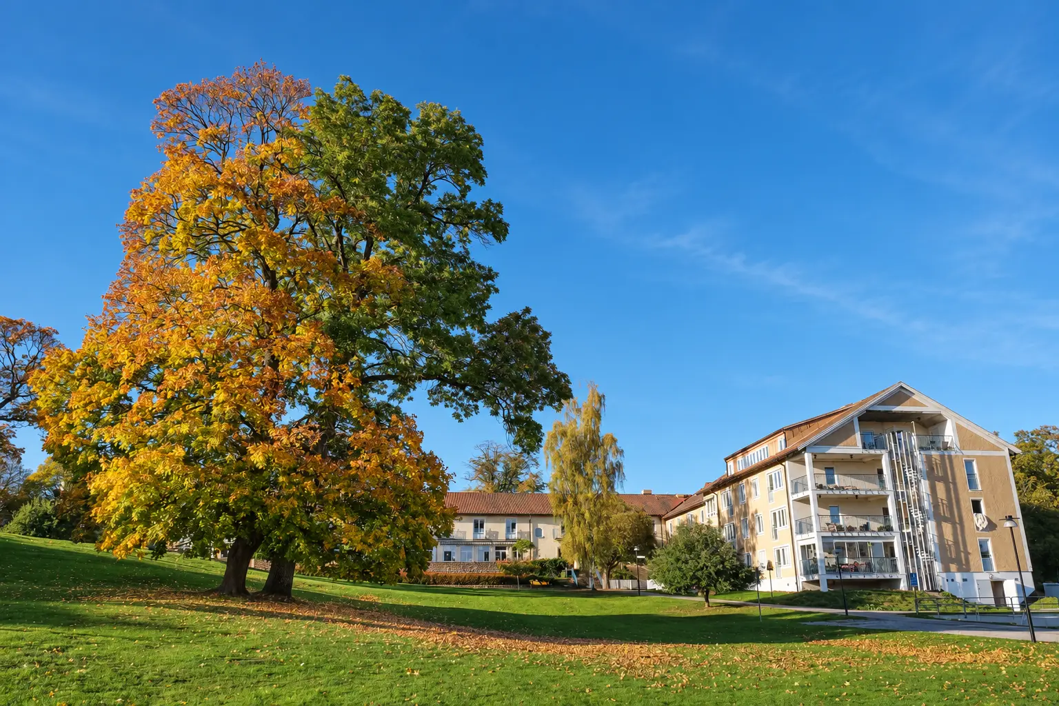 Lakefront residences beside the park in autumn.